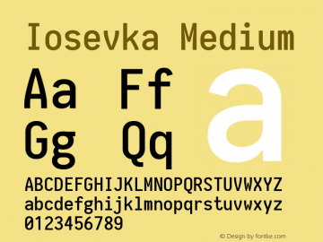 Iosevka Medium 1.13.2; ttfautohint (v1.6) Font Sample