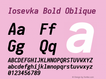 Iosevka Bold Oblique 1.13.3; ttfautohint (v1.6)图片样张