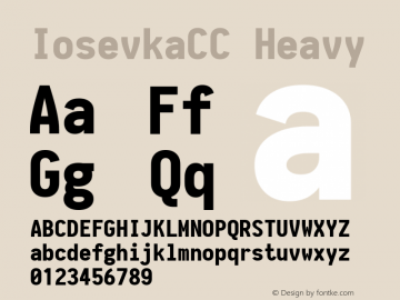 IosevkaCC Heavy 1.13.3; ttfautohint (v1.6) Font Sample