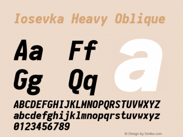 Iosevka Heavy Oblique 1.13.3; ttfautohint (v1.6) Font Sample