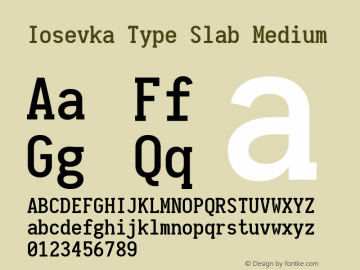 Iosevka Type Slab Medium 1.13.3; ttfautohint (v1.6) Font Sample