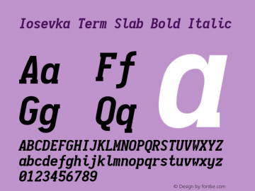 Iosevka Term Slab Bold Italic 1.13.3; ttfautohint (v1.6)图片样张