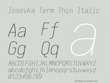 Iosevka Term Thin Italic 1.13.3; ttfautohint (v1.6)图片样张