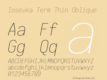 Iosevka Term Thin Oblique 1.13.3; ttfautohint (v1.6)图片样张