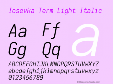 Iosevka Term Light Italic 1.13.3; ttfautohint (v1.6)图片样张