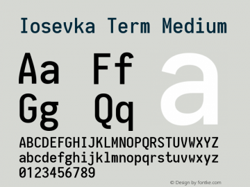 Iosevka Term Medium 1.13.3; ttfautohint (v1.6)图片样张
