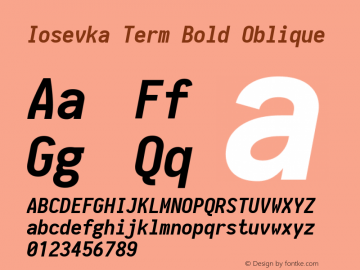 Iosevka Term Bold Oblique 1.13.3; ttfautohint (v1.6)图片样张