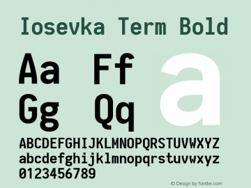 Iosevka Term Bold 1.13.3; ttfautohint (v1.6)图片样张