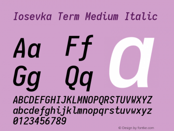 Iosevka Term Medium Italic 1.13.3; ttfautohint (v1.6)图片样张