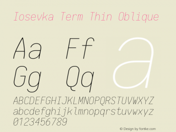 Iosevka Term Thin Oblique 1.13.3; ttfautohint (v1.6)图片样张