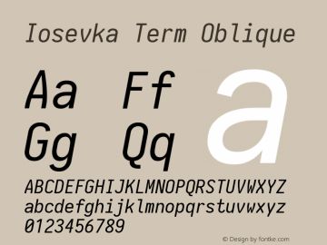 Iosevka Term Oblique 1.13.3; ttfautohint (v1.6)图片样张