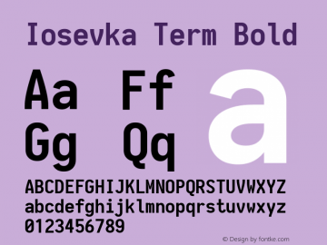 Iosevka Term Bold 1.13.3; ttfautohint (v1.6)图片样张