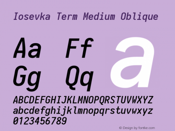 Iosevka Term Medium Oblique 1.13.3; ttfautohint (v1.6)图片样张