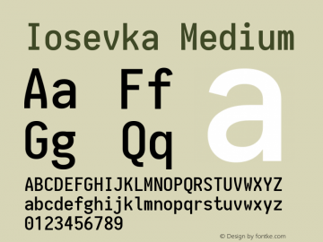 Iosevka Medium 1.13.3; ttfautohint (v1.6) Font Sample