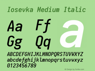 Iosevka Medium Italic 1.13.3; ttfautohint (v1.6)图片样张