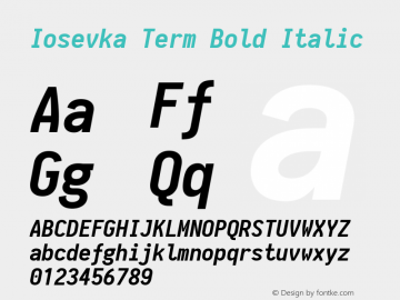 Iosevka Term Bold Italic 1.13.3; ttfautohint (v1.6)图片样张