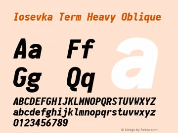 Iosevka Term Heavy Oblique 1.13.3; ttfautohint (v1.6)图片样张