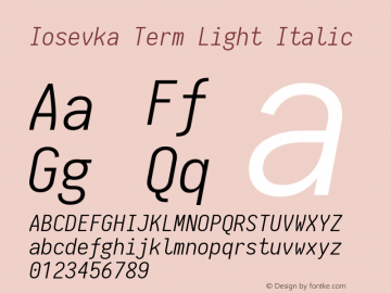 Iosevka Term Light Italic 1.13.3; ttfautohint (v1.6)图片样张