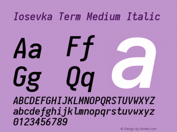 Iosevka Term Medium Italic 1.13.3; ttfautohint (v1.6)图片样张