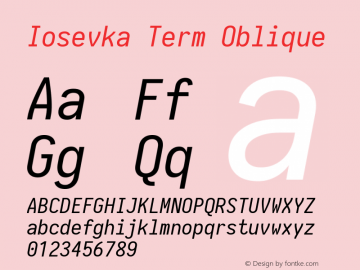 Iosevka Term Oblique 1.13.3; ttfautohint (v1.6)图片样张