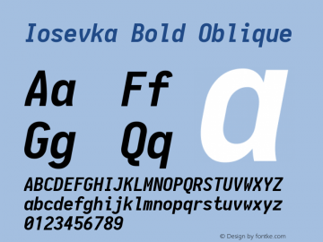 Iosevka Bold Oblique 1.13.3; ttfautohint (v1.6)图片样张