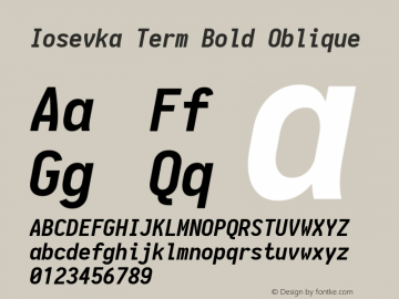 Iosevka Term Bold Oblique 1.13.3; ttfautohint (v1.6)图片样张