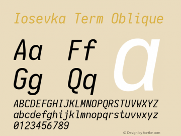 Iosevka Term Oblique 1.13.3; ttfautohint (v1.6)图片样张