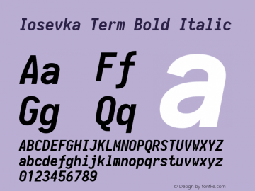 Iosevka Term Bold Italic 1.13.3; ttfautohint (v1.6)图片样张