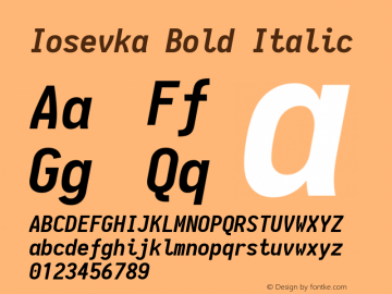 Iosevka Bold Italic 1.13.3; ttfautohint (v1.6)图片样张