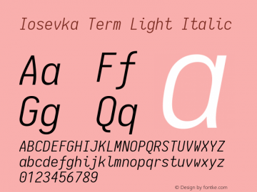 Iosevka Term Light Italic 1.13.3; ttfautohint (v1.6)图片样张