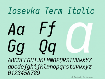 Iosevka Term Italic 1.13.3; ttfautohint (v1.6)图片样张