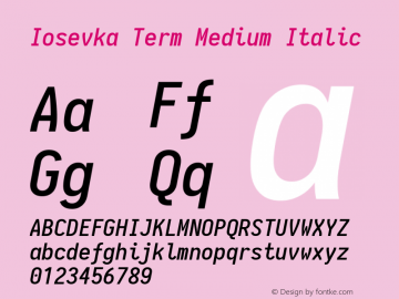 Iosevka Term Medium Italic 1.13.3; ttfautohint (v1.6)图片样张