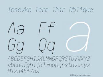 Iosevka Term Thin Oblique 1.13.3; ttfautohint (v1.6)图片样张