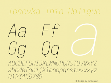 Iosevka Thin Oblique 1.13.3; ttfautohint (v1.6) Font Sample