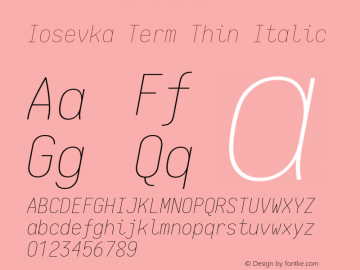 Iosevka Term Thin Italic 1.13.3; ttfautohint (v1.6)图片样张