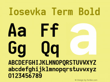 Iosevka Term Bold 1.13.3; ttfautohint (v1.6)图片样张