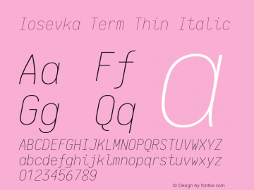 Iosevka Term Thin Italic 1.13.3; ttfautohint (v1.6)图片样张