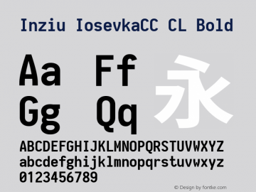 Inziu IosevkaCC CL Bold Version 1.13.3 Font Sample