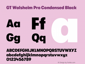 GT Walsheim Pro Condensed Black Version 2.001;PS 002.001;hotconv 1.0.88;makeotf.lib2.5.64775 Font Sample