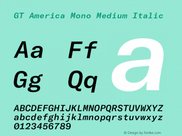 GT America Mono Medium Italic Version 2.001;PS 002.001;hotconv 1.0.88;makeotf.lib2.5.64775 Font Sample