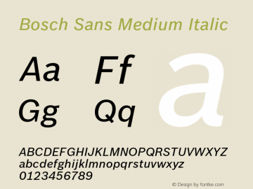 BoschSans-MediumItalic Version 1.000;PS 3.10;hotconv 1.0.57;makeotf.lib2.0.21895图片样张