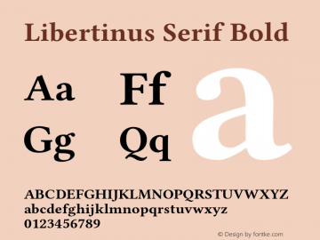 Libertinus Serif Bold Version 6.5图片样张