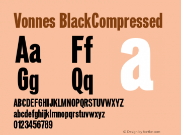 Vonnes-BlackCompressed Version 001.000图片样张