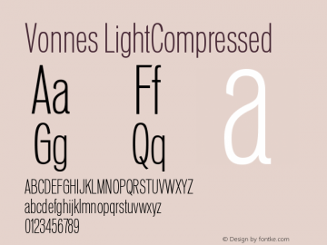 Vonnes-LightCompressed Version 001.000图片样张