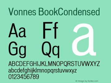 Vonnes-BookCondensed Version 001.000图片样张