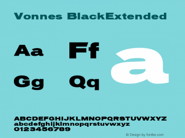 Vonnes-BlackExtended Version 001.000图片样张