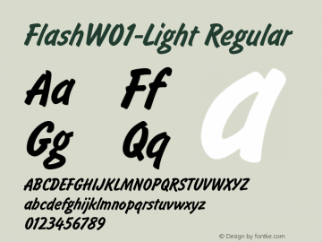 Flash W01 Light Version 1.1 Font Sample