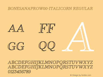 Bonesana PRO W00 Italic ORN Version 1.00 Font Sample