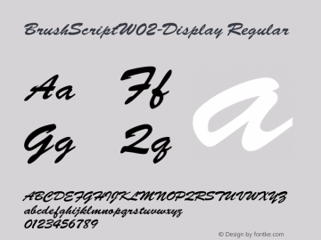 Brush Script W02 Display Version 1.1图片样张