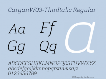 Cargan W03 Thin Italic Version 1.00图片样张